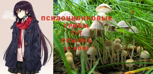 мяу мяу кристалл Инта
