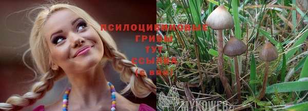 мяу мяу кристалл Инта